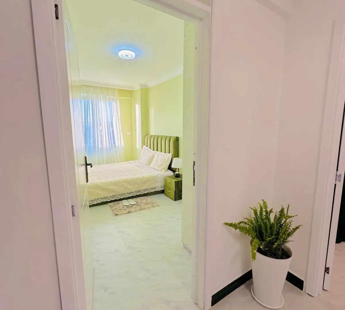 Apartment Spacious & Economical Stay In Vibrant Addis Ababa Ethiopia