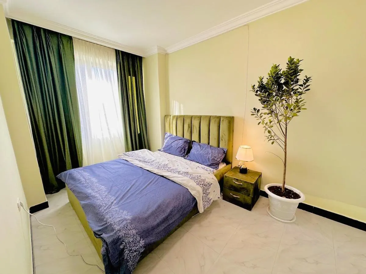 Spacious & Economical Stay In Vibrant Addis Ababa Apartment